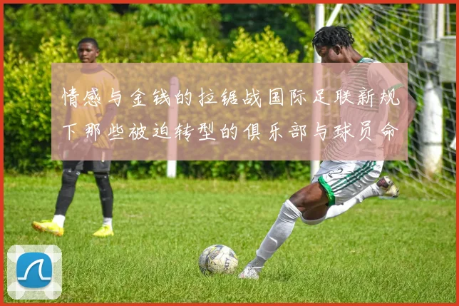情感与金钱的拉锯战国际足联新规下那些被迫转型的俱乐部与球员命运