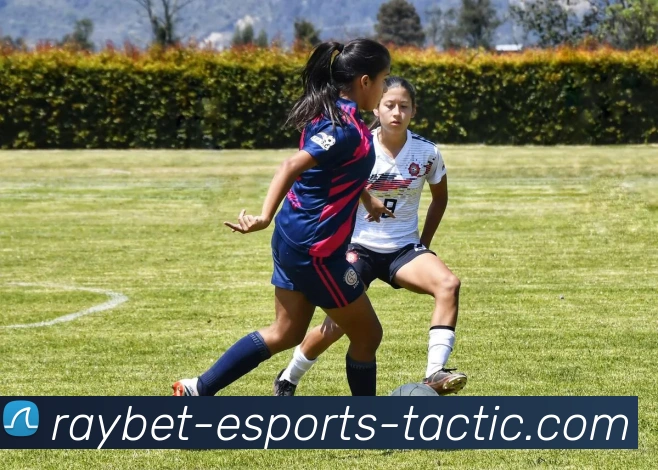 雷竞技APP 体育赛事宣传图